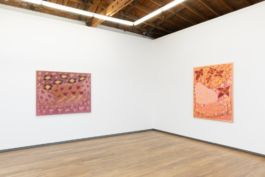 Larissa Lockshin